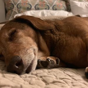 Meet your Posher, Chasity